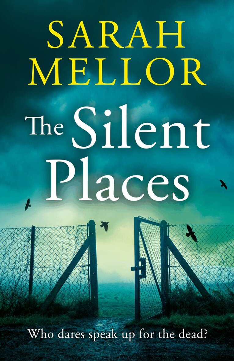 Sarah Mellor - Silent Places, Inbunden. Tillgänglighet: Lägg i varukorg