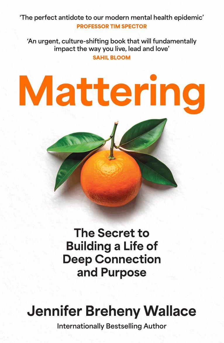 Jennifer Breheny Wallace - Mattering, E-bok