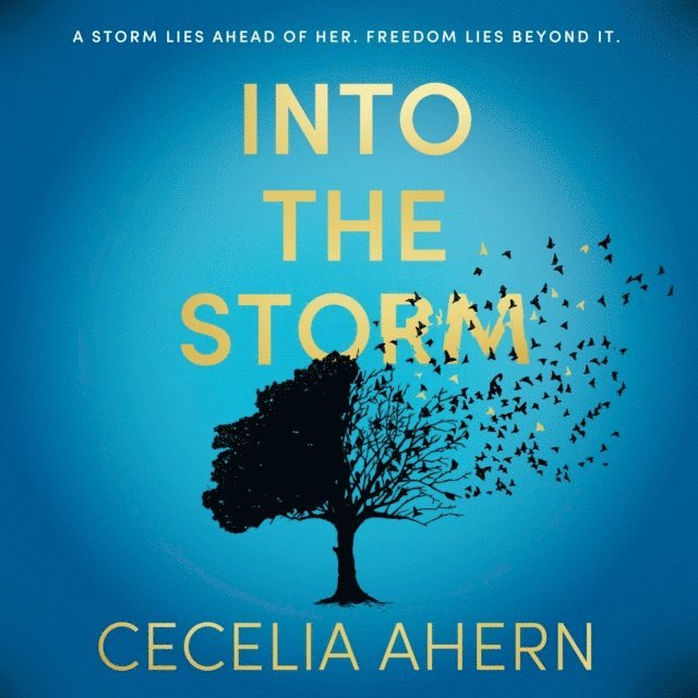 Cecelia Ahern - Into the Storm, Ljudbok