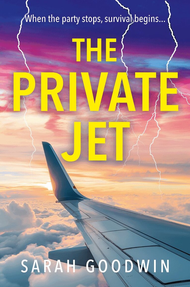 Sarah Goodwin - Private Jet, E-bok