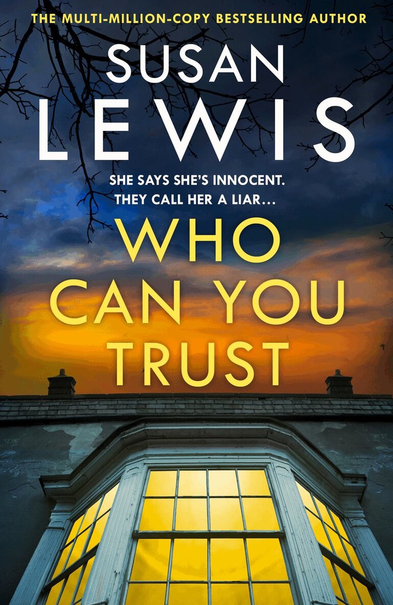 Susan Lewis - Who Can You Trust, E-bok