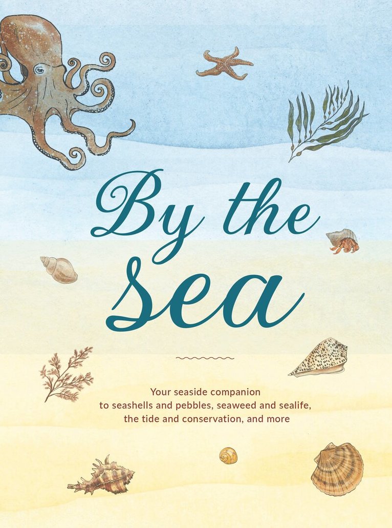 Susan Kelly - By the Sea, E-bok