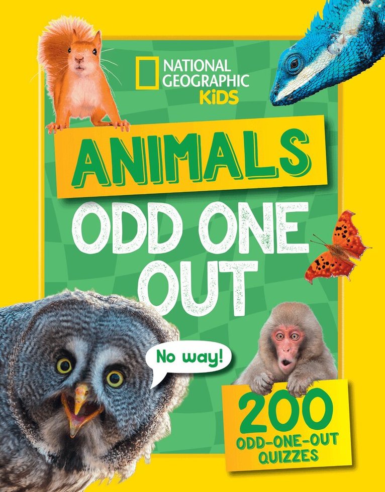 Animals Odd One Out