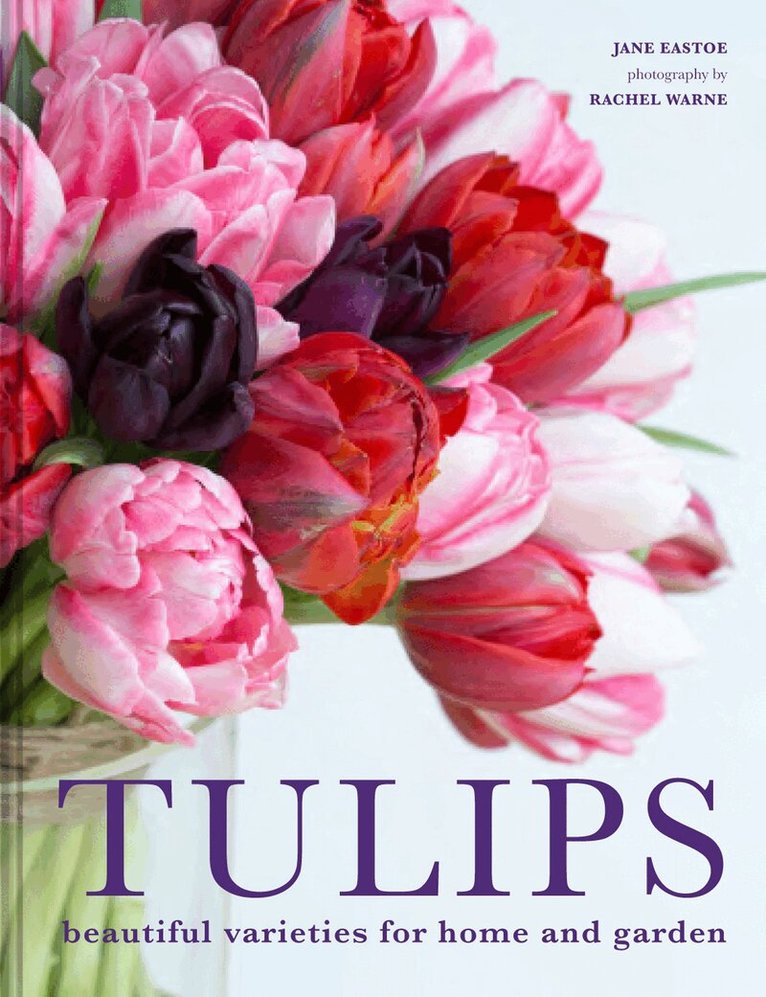 Jane Eastoe - Tulips, E-bok