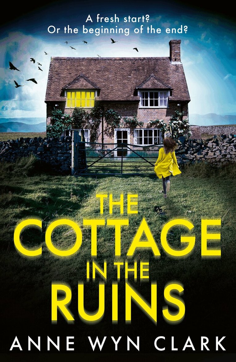 Anne Wyn Clark - Cottage in the Ruins, E-bok