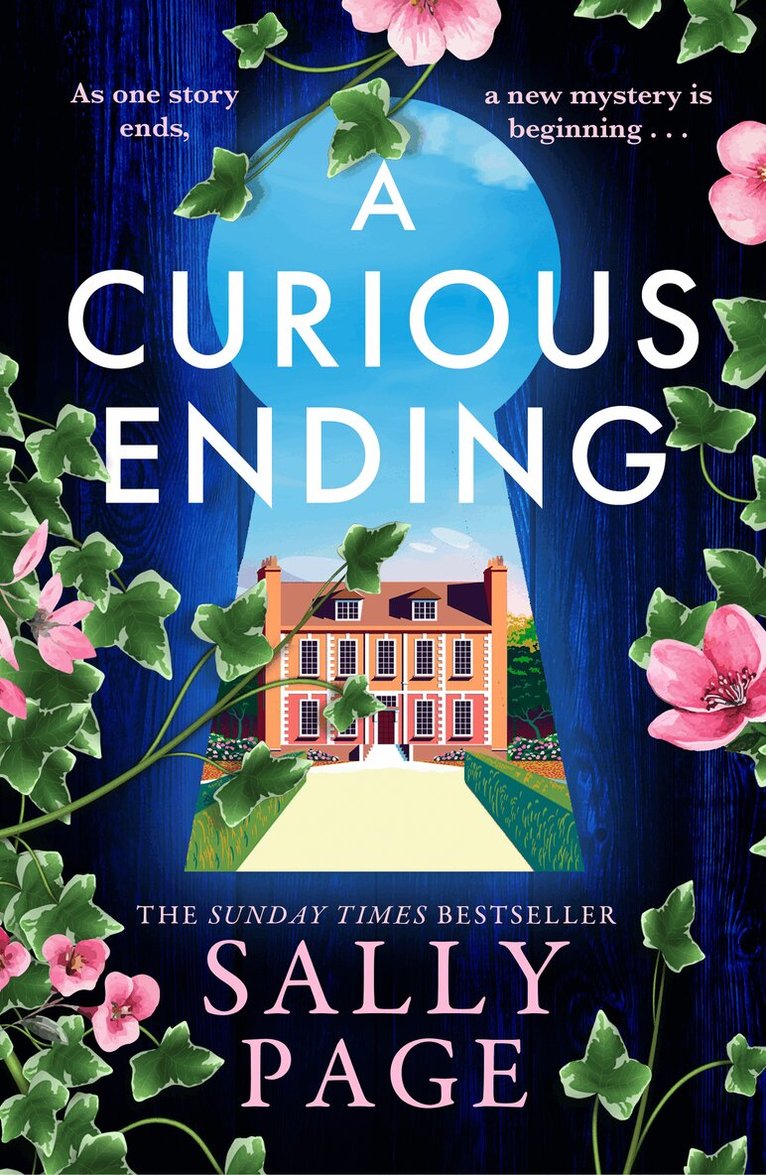 Sally Page - Curious Ending, E-bok