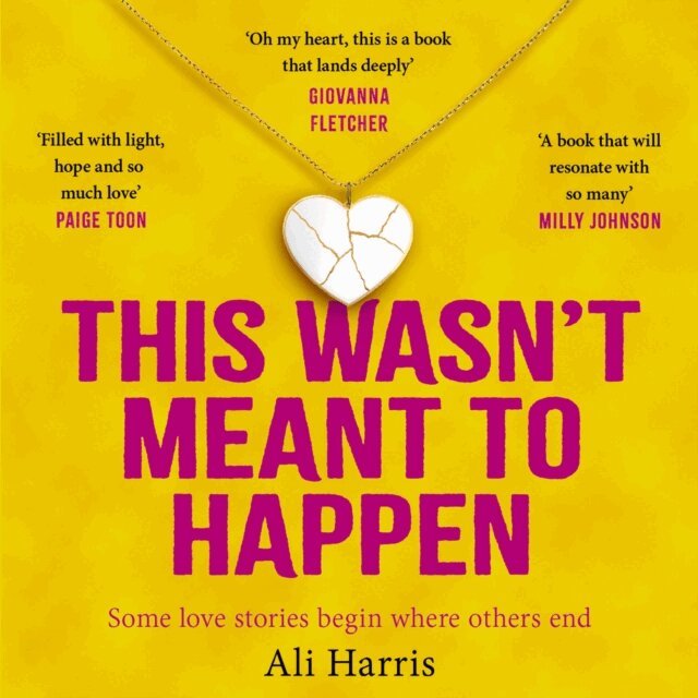 Ali Harris - This Wasn't Meant to Happen, Ljudbok