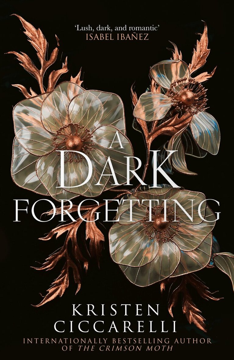 Kristen Ciccarelli - Dark Forgetting, E-bok