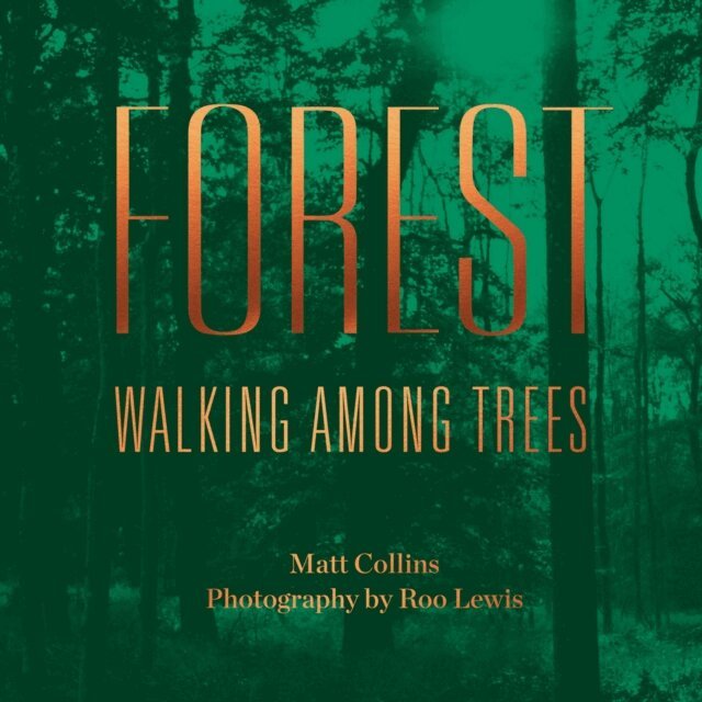 Matt Collins - Forest, Ljudbok