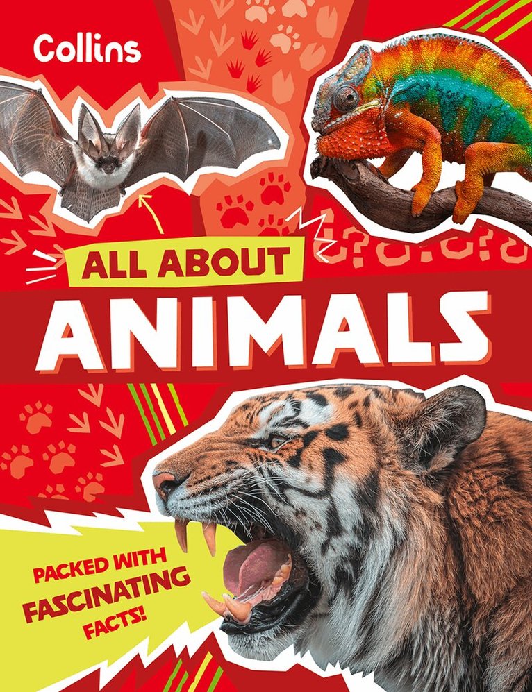 Collins Kids - Animals, E-bok