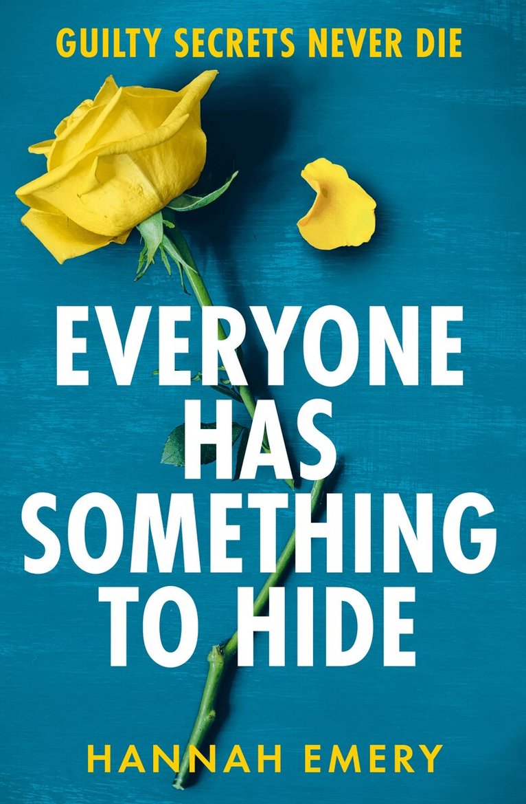 Hannah Emery - Everyone Has Something to Hide, E-bok