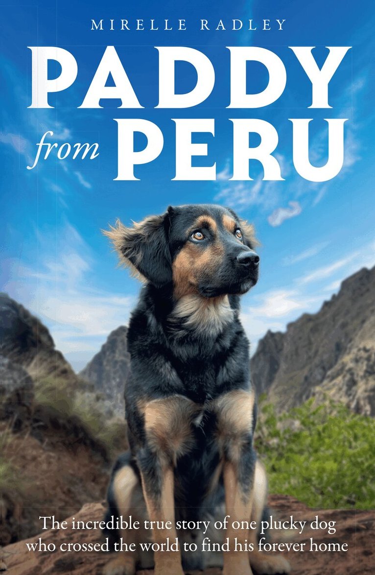 Mirelle Radley - Paddy from Peru, E-bok