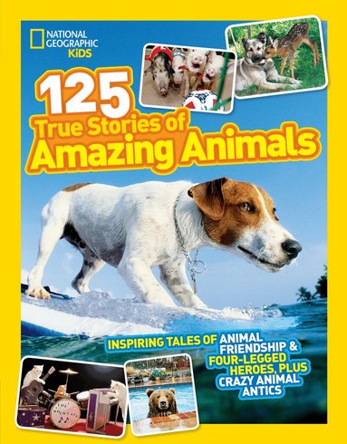 National Geographic Kids - 125 True Stories of Amazing Animals, Häftad