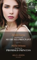 Penniless And Secretly Pregnant / Stealing The Promised Princess: Penniless and Secretly Pregnant / Stealing the Promised Princess (Mills & Boon Modern)