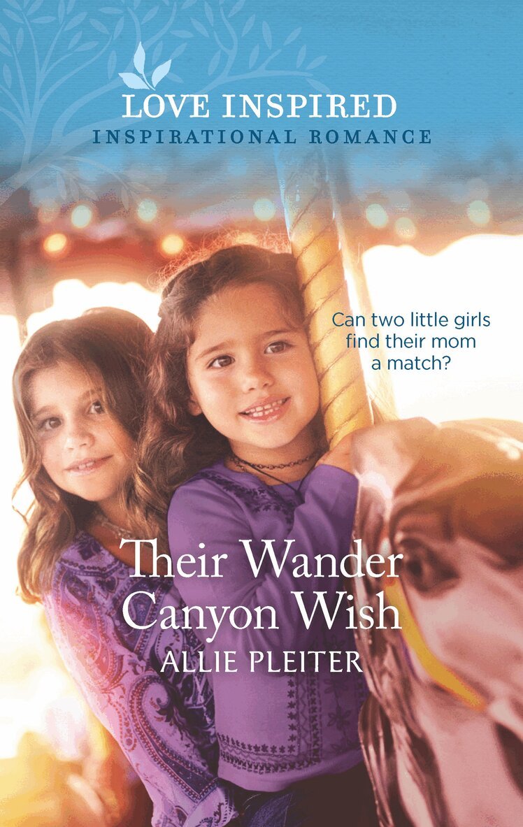 Allie Pleiter - Their Wander Canyon Wish, E-bok