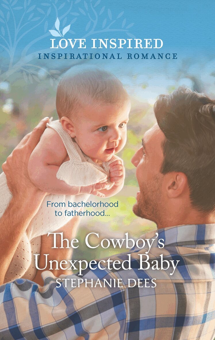 Stephanie Dees - Cowboy's Unexpected Baby, E-bok