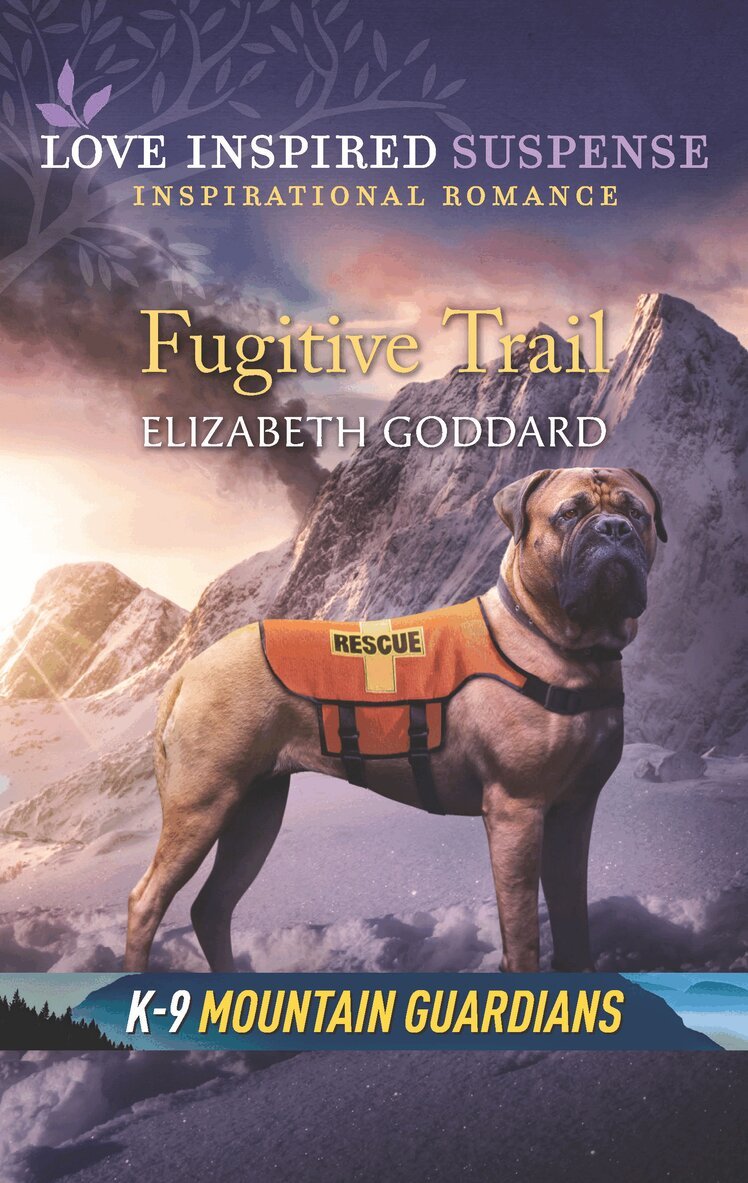 Elizabeth Goddard - Fugitive Trail, E-bok