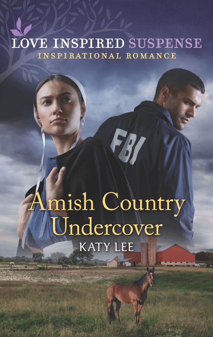 Katy Lee - Amish Country Undercover, E-bok
