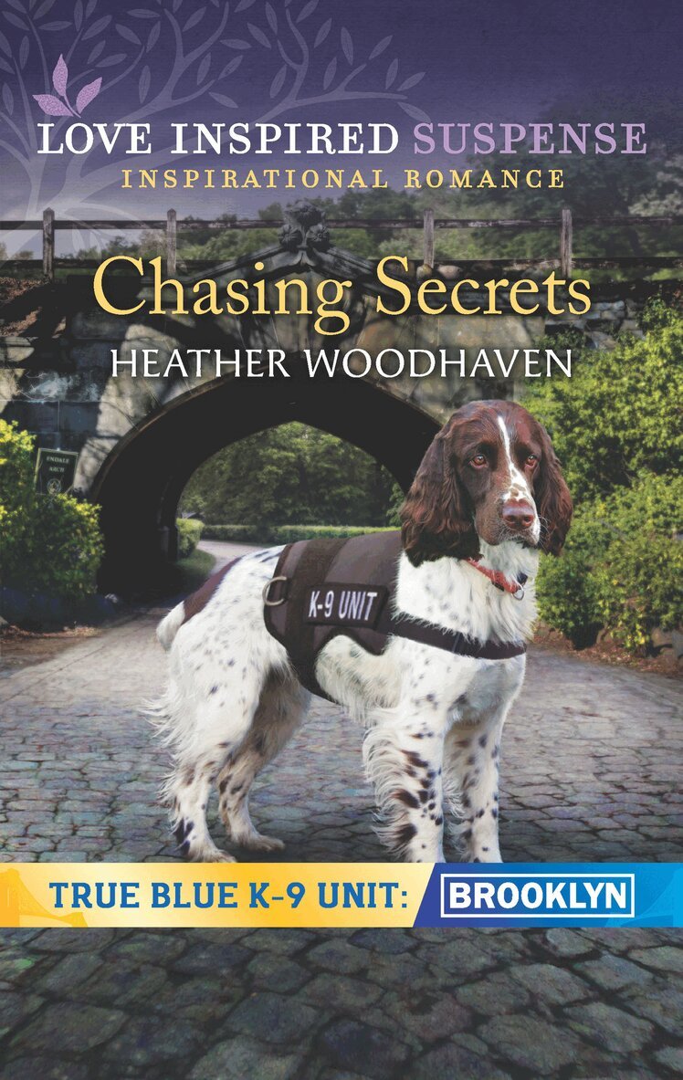 Heather Woodhaven - Chasing Secrets, E-bok