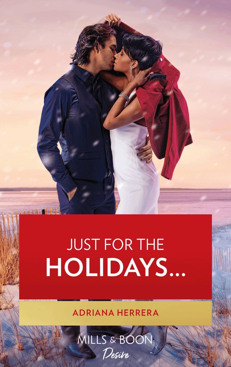 Adriana Herrera - Just For The Holidays…, E-bok