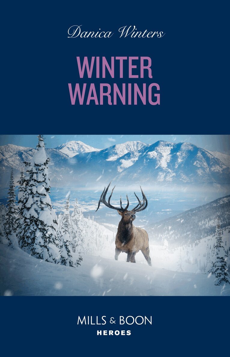 Danica Winters - Winter Warning, E-bok