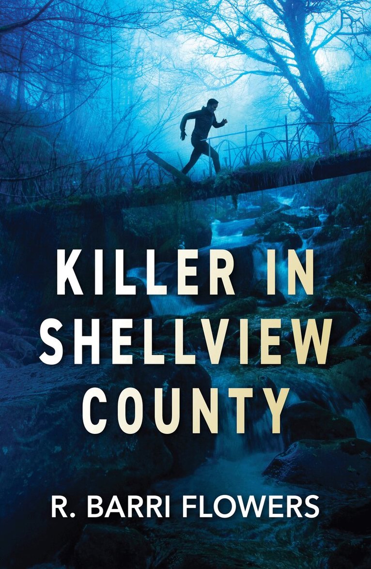 R. Barri Flowers - Killer In Shellview County, E-bok