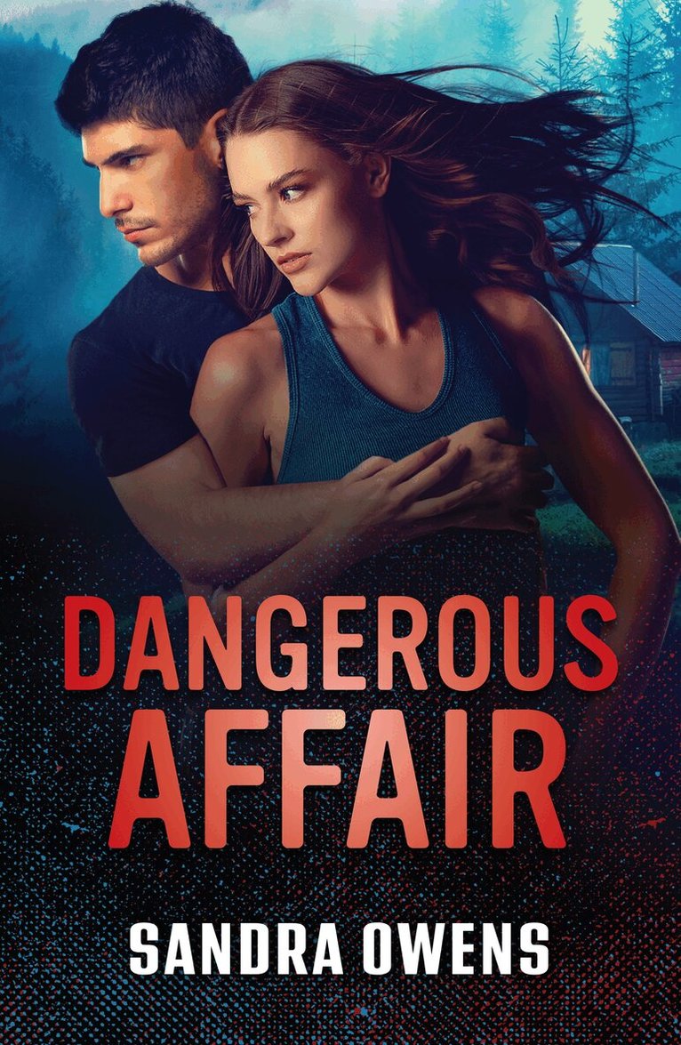 Sandra Owens - Dangerous Affair, E-bok