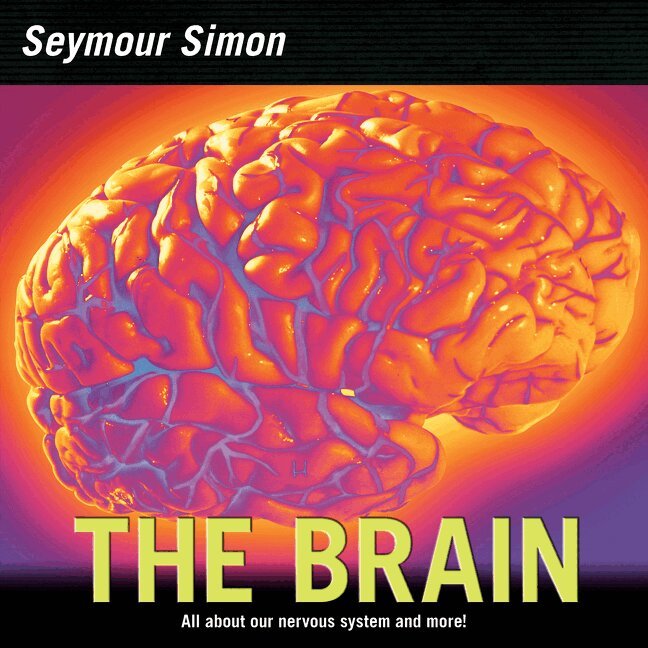 Seymour Simon - Brain, Häftad