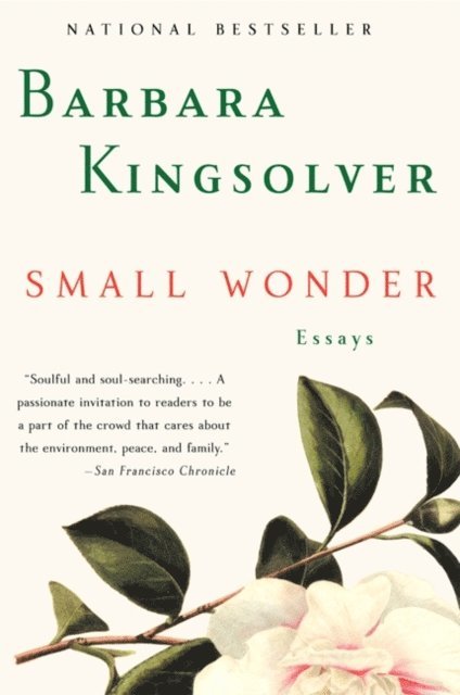 Barbara Kingsolver - Small Wonder, Ljudbok