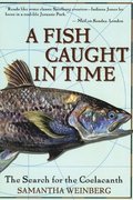 Fish Caught In Time