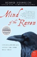 Mind Of The Raven