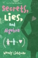 Do the Math: Secrets, Lies, and Algebra av Wendy Lichtman