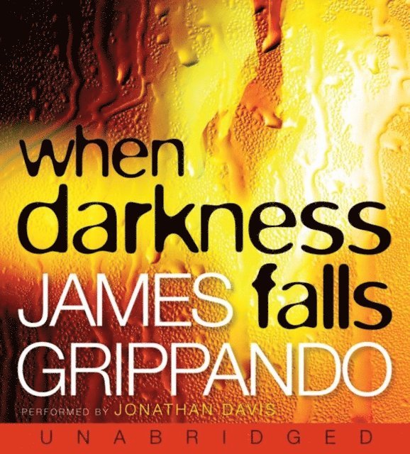 James Grippando - When Darkness Falls, Ljudbok