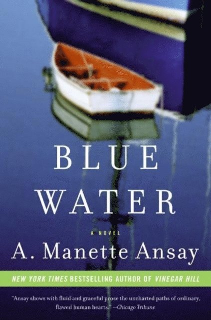 A. Manette Ansay - Blue Water, E-bok