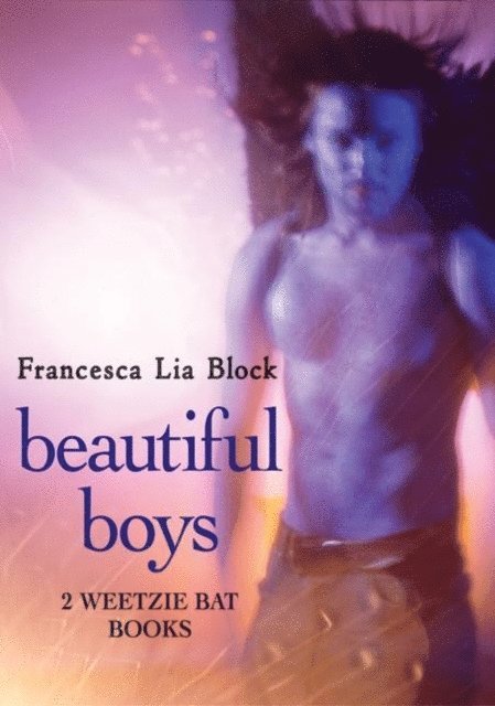 Francesca Lia Block - Beautiful Boys, E-bok