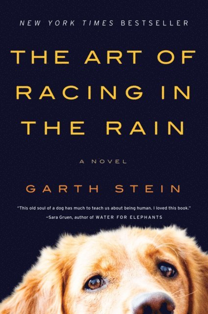 Garth Stein - Art of Racing in the Rain, E-bok