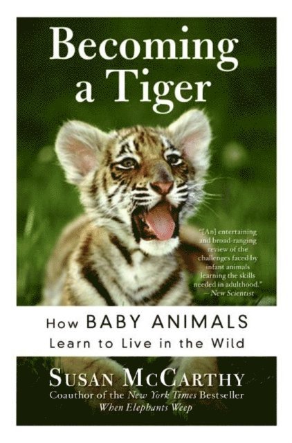Susan McCarthy - Becoming a Tiger, E-bok