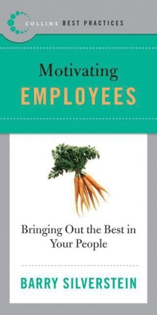 Barry Silverstein - Best Practices: Motivating Employees, E-bok