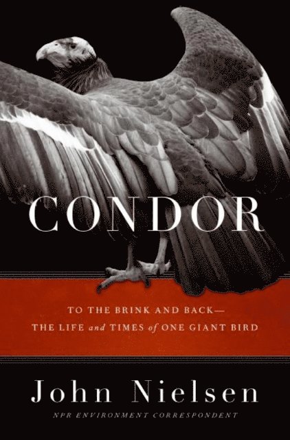 John Nielsen - Condor, E-bok