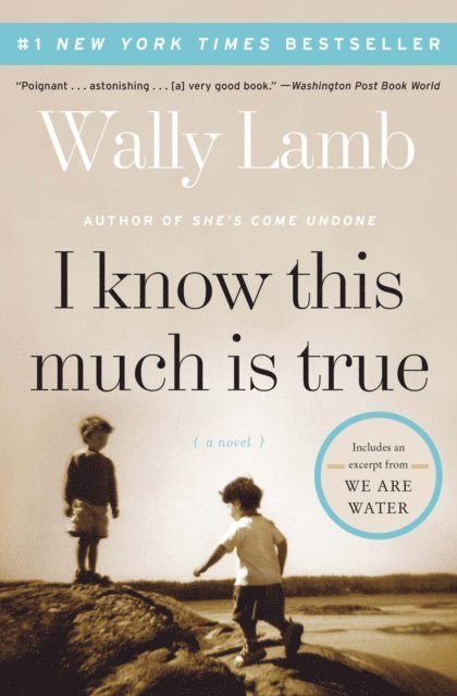 Wally Lamb - I Know This Much Is True, E-bok