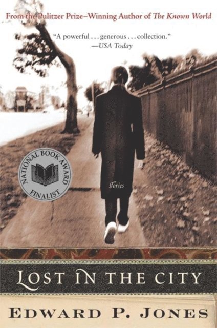 Edward P. Jones - Lost in the City, E-bok