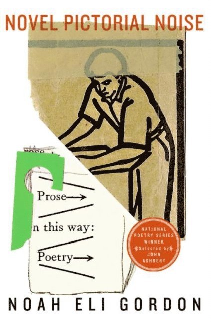 Noah Eli Gordon - Novel Pictorial Noise, E-bok