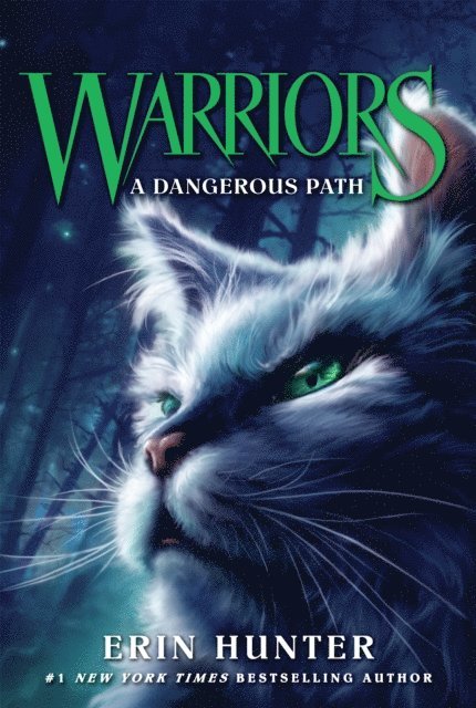Erin Hunter - Warriors #5: A Dangerous Path, E-bok