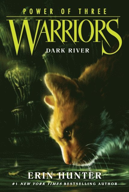 Erin Hunter - Warriors: Power of Three #2: Dark River, E-bok