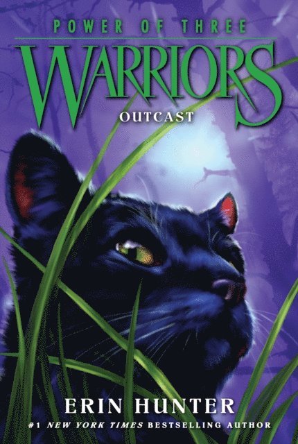 Erin Hunter - Warriors: Power of Three #3: Outcast, E-bok