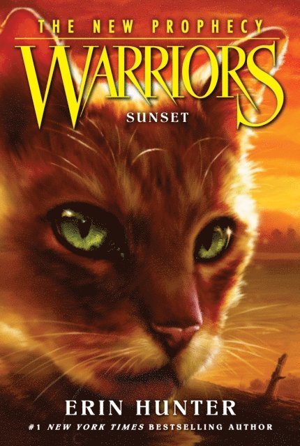 Erin Hunter - Warriors: The New Prophecy #6: Sunset, E-bok