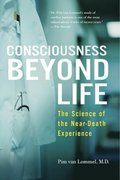 Consciousness Beyond Life