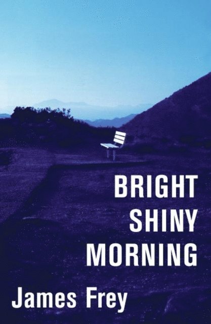 James Frey - Bright Shiny Morning, E-bok