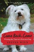 Come Back, Como: Winning The Heart Of A Reluctant Dog