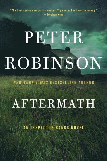 Peter Robinson - Aftermath, E-bok